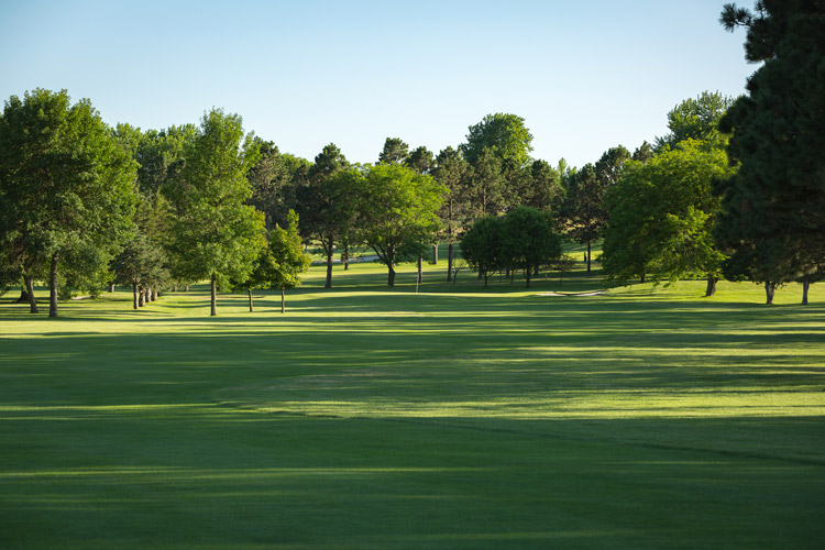 Albion Country Club Golfing » Albion Country Club