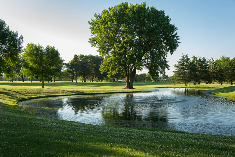 Albion Country Club Golfing » Albion Country Club