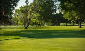 Albion Country Club - Hole 6